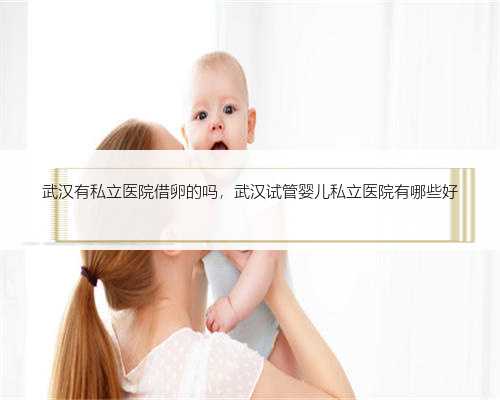 武汉有私立医院借卵的吗，武汉试管婴儿私立医院有哪些好